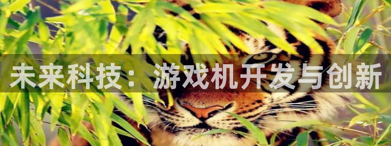 沐鸣2app下载：未来科技：游戏机开发与创新