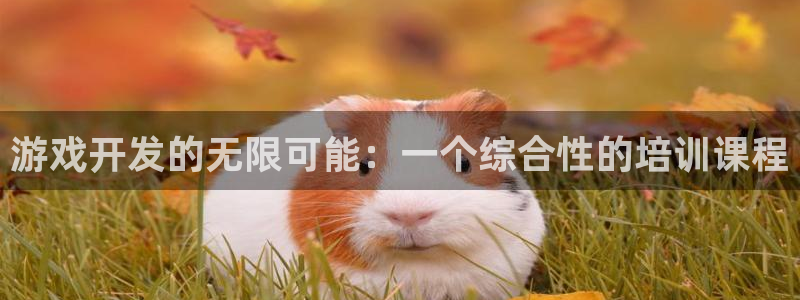 沐鸣娱乐2官网网址：游戏开发的无限可能：一个综合性的培训课程