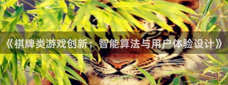 沐鸣2官网网址：《棋牌类游戏创新：智能算法与用户体验设计》