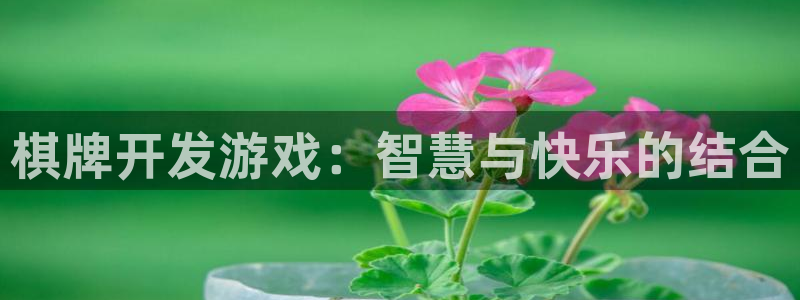 沐鸣娱乐2登录地址：棋牌开发游戏：智慧与快乐的结合