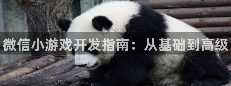 沐鸣娱乐2在线注册：微信小游戏开发指南：从基础到高级