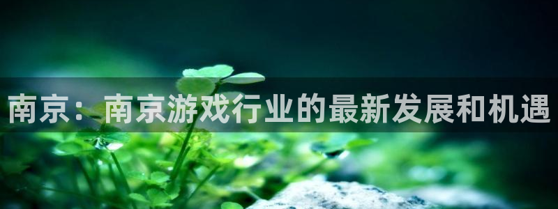 沐鸣娱乐2电脑版：南京：南京游戏行业的最新发展和机遇