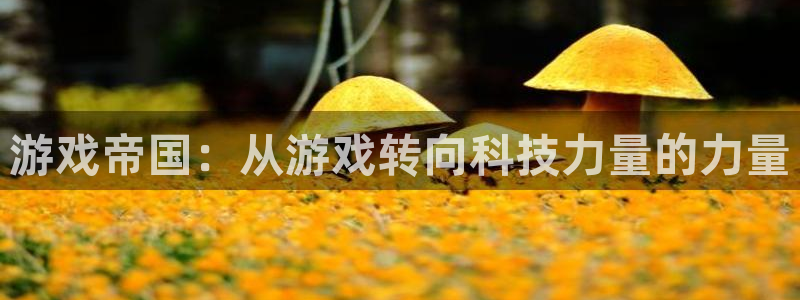 沐鸣娱乐2电脑版：游戏帝国：从游戏转向科技力量的力量
