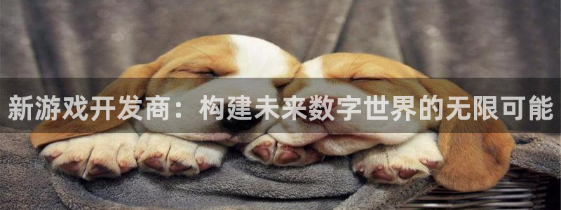 沐鸣娱乐2登录平台官网：新游戏开发商：构建未来数字世界的无限可能