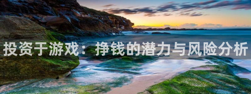 沐鸣2官方：投资于游戏：挣钱的潜力与风险分析