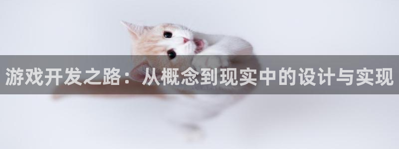 沐鸣2注册平台：游戏开发之路：从概念到现实中的设计与实现