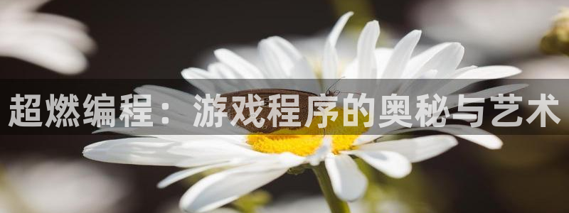 沐鸣娱乐2怎么样：超燃编程：游戏程序的奥秘与艺术