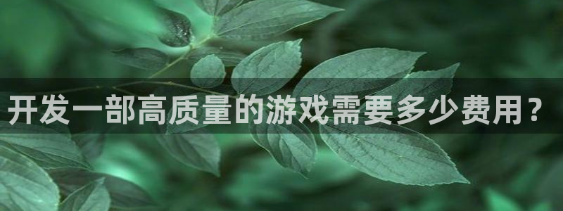 沐鸣代理22927：开发一部高质量的游戏需要多少费用？