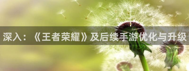 沐鸣2登录地址：深入：《王者荣耀》及后续手游优化与升级