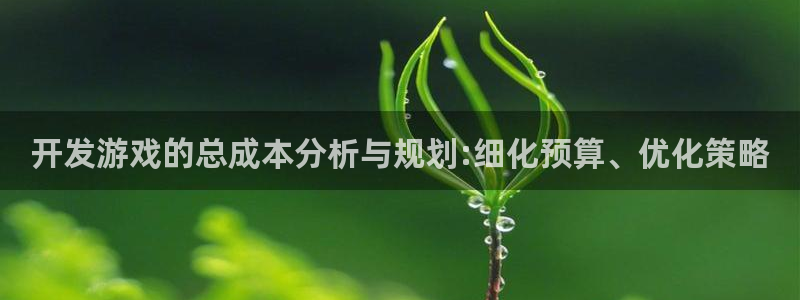 沐鸣娱乐2在线注册：开发游戏的总成本分析与规划:细化预算、优化策略