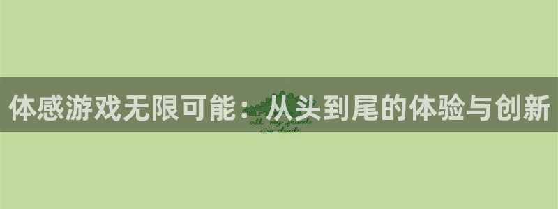 沐鸣娱乐2手机版：体感游戏无限可能：从头到尾的体验与创新