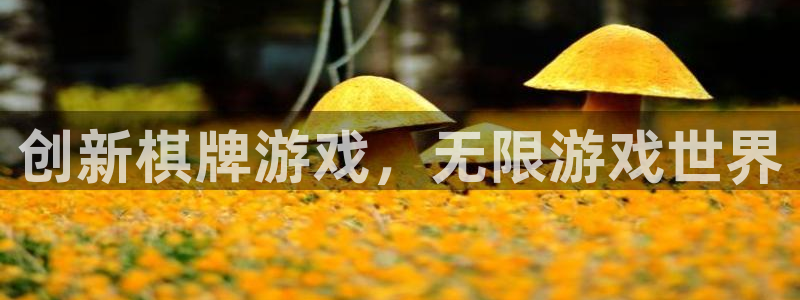 沐鸣娱乐臼44262：创新棋牌游戏，无限游戏世界