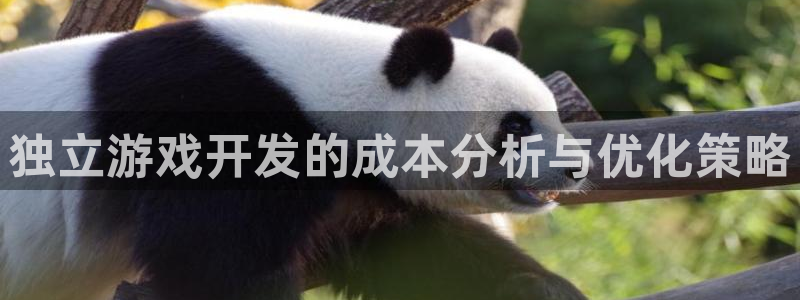 沐鸣2娱乐注册平台：独立游戏开发的成本分析与优化策略