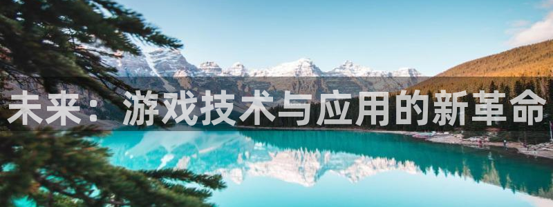 沐鸣2注册登陆：未来：游戏技术与应用的新革命