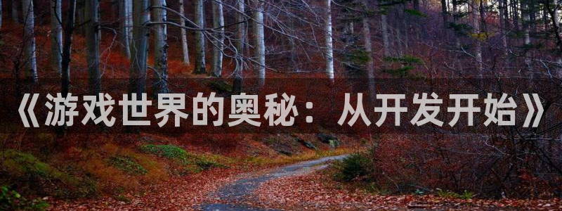 沐鸣2注册登录地址：《游戏世界的奥秘：从开发开始》