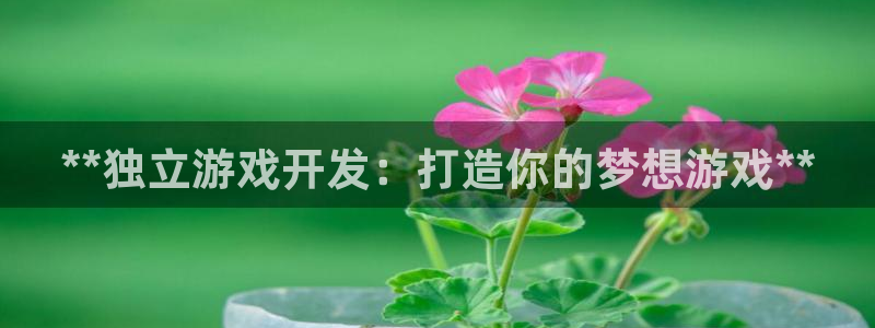 沐鸣2手机网页版：**独立游戏开发：打造你的梦想游戏**