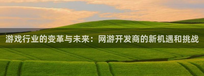 沐鸣2登录测速：游戏行业的变革与未来：网游开发商的新机遇和挑战