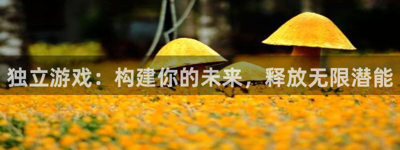 沐鸣2平台注册流程