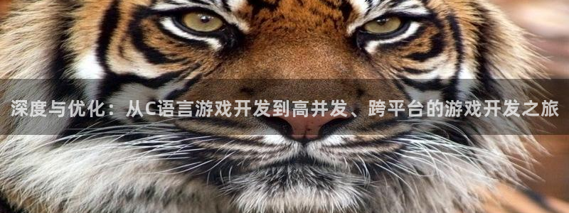 沐鸣2官网：深度与优化：从C语言游戏开发到高并发、跨平台的游戏开发之旅
