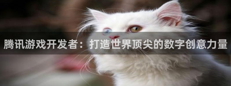 沐鸣2注册地址：腾讯游戏开发者：打造世界顶尖的数字创意力量