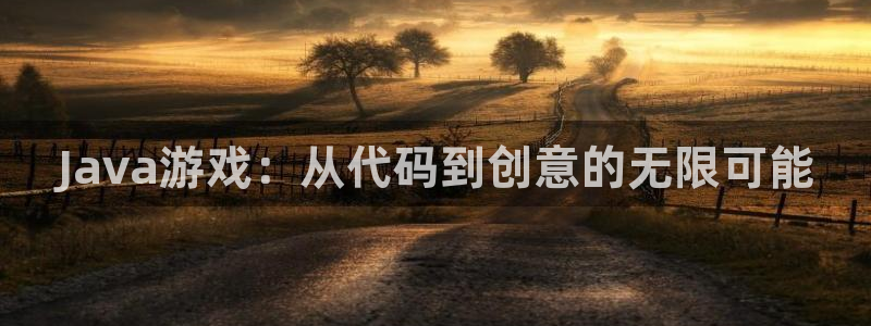 沐鸣娱乐2登录平台官网入口：Java游戏：从代码到创意的无限可能