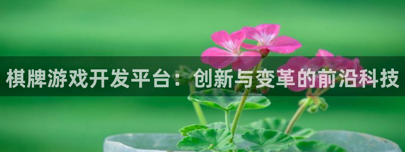 沐鸣娱乐2代理