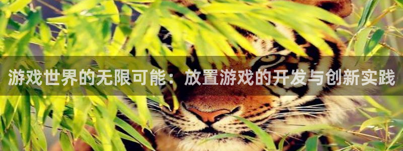 沐鸣2娱乐注册登录平台：游戏世界的无限可能：放置游戏的开发与创新实践