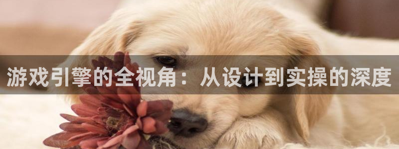 沐鸣2注册登录下载：游戏引擎的全视角：从设计到实操的深度