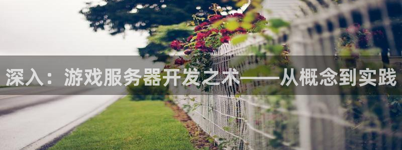 沐鸣2主管：深入：游戏服务器开发之术——从概念到实践