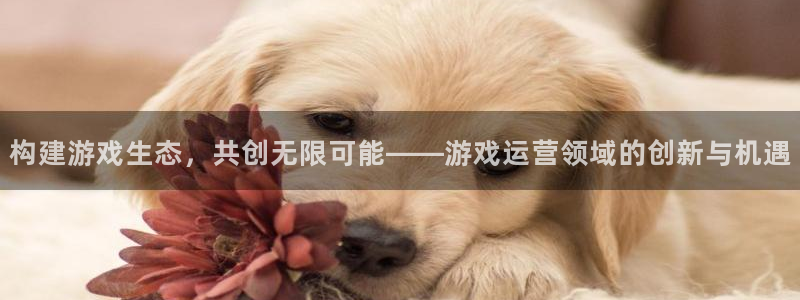 沐鸣娱乐2l怎么样：构建游戏生态，共创无限可能——游戏运营领域的创新与机遇