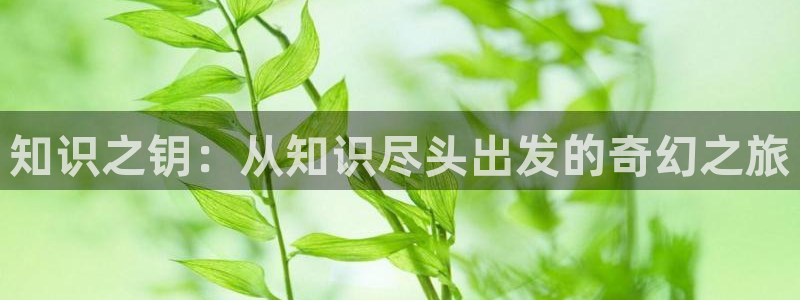 sf轻小说免费版：知识之钥：从知识尽头出发的奇幻之旅
