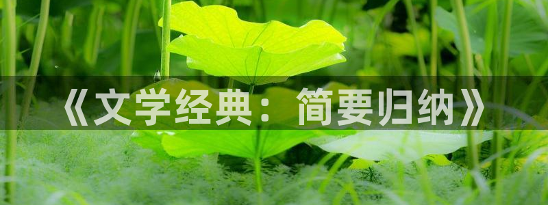 sf轻小说内购破解版：《文学经典：简要归纳》