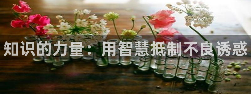 sf轻小说在哪里看免费：知识的力量：用智慧抵制不良诱惑