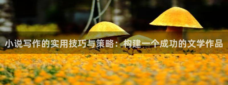 sf轻小说免费阅读网站：小说写作的实用技巧与策略：构建一个成功的文学作品